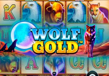 Playtech - игровой автомат онлайн от Various с RTP 95.8%
